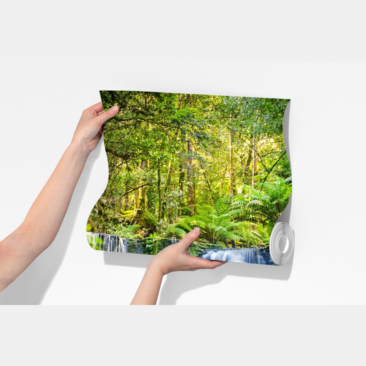 Fototapeta bujny wodospad w Mt Field National Park, Tasmania – Wallissimo® Fototapeta bujny wodospad w Mt Field National Park, Tasmania – Wallissimo®