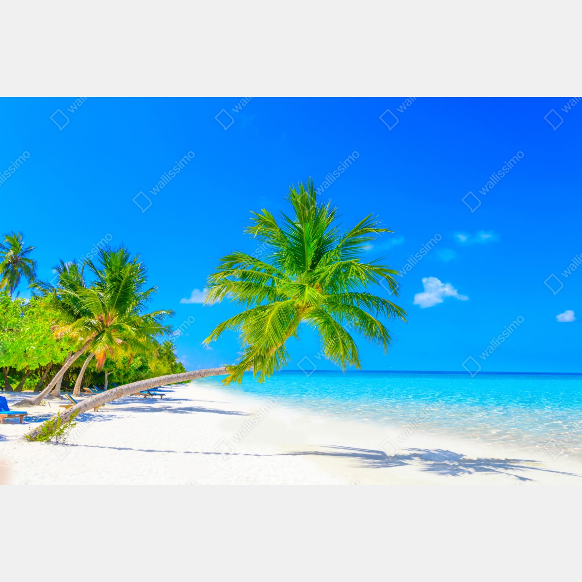 Fototapeta rajska plaża na Malediwach – Wallissimo® Fototapeta rajska plaża na Malediwach – Wallissimo®