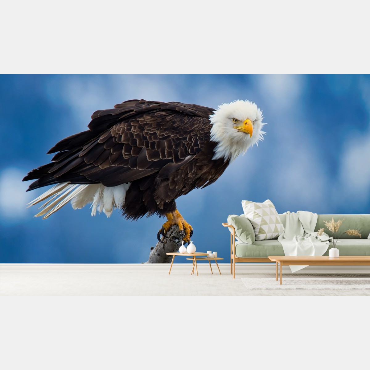 Wall mural majestic bald eagle portrait