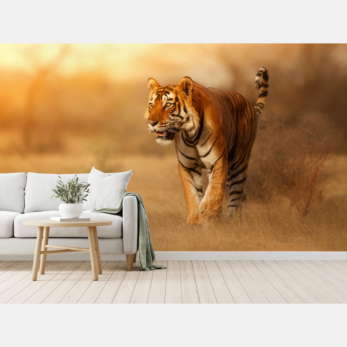 Wall mural majestic tiger in golden light
