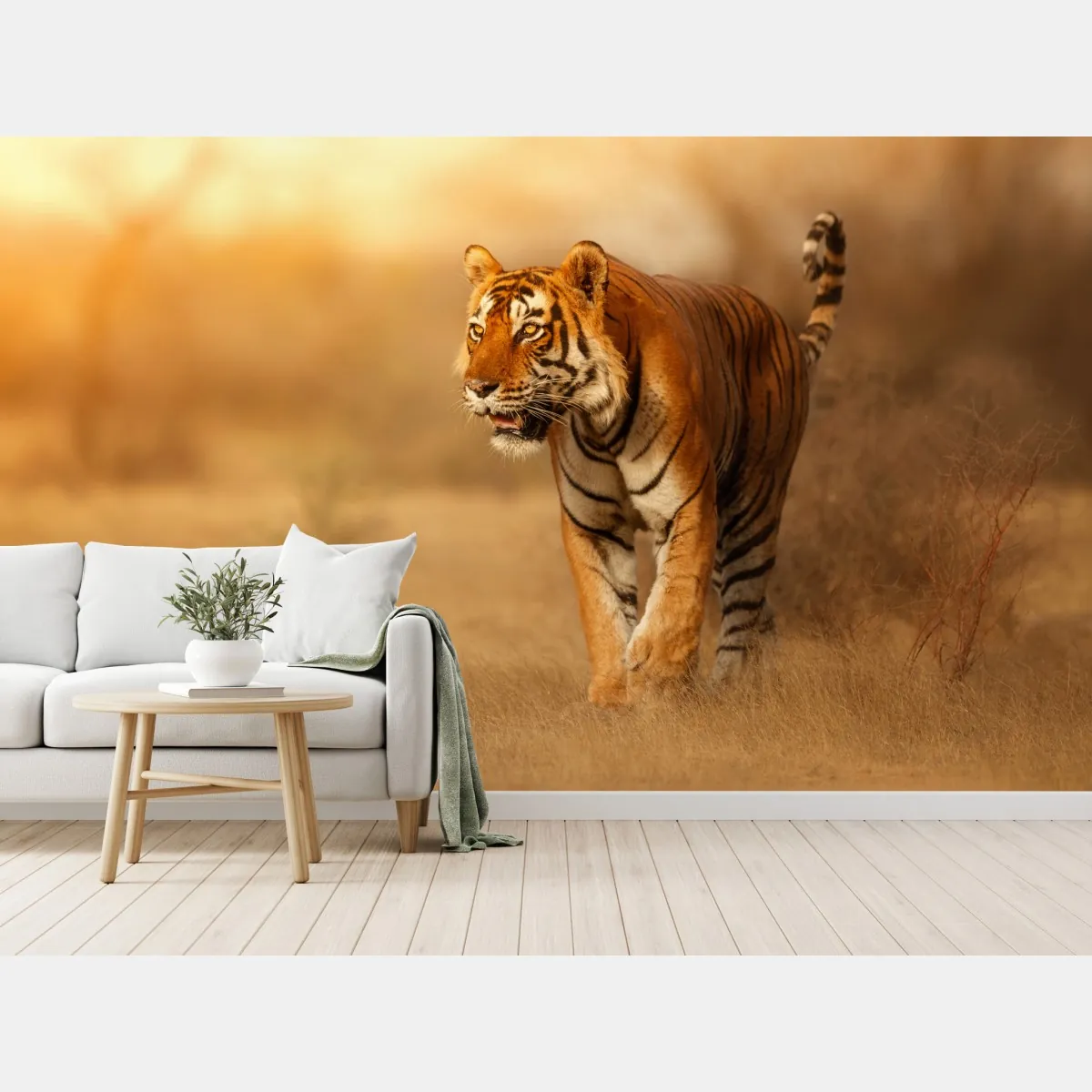 Fototapeta majestatyczny tygrys w złotym świetle – Wallissimo® Fototapeta majestatyczny tygrys w złotym świetle – Wallissimo®
