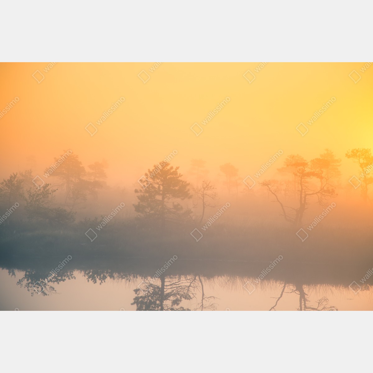 Fototapeta senny wschód słońca nad mglistym torfowiskiem – Wallissimo® Fototapeta senny wschód słońca nad mglistym torfowiskiem – Wallissimo®