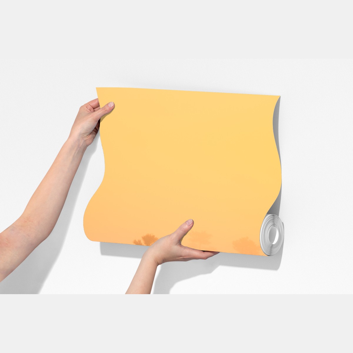 Fototapeta senny wschód słońca nad mglistym torfowiskiem – Wallissimo® Fototapeta senny wschód słońca nad mglistym torfowiskiem – Wallissimo®