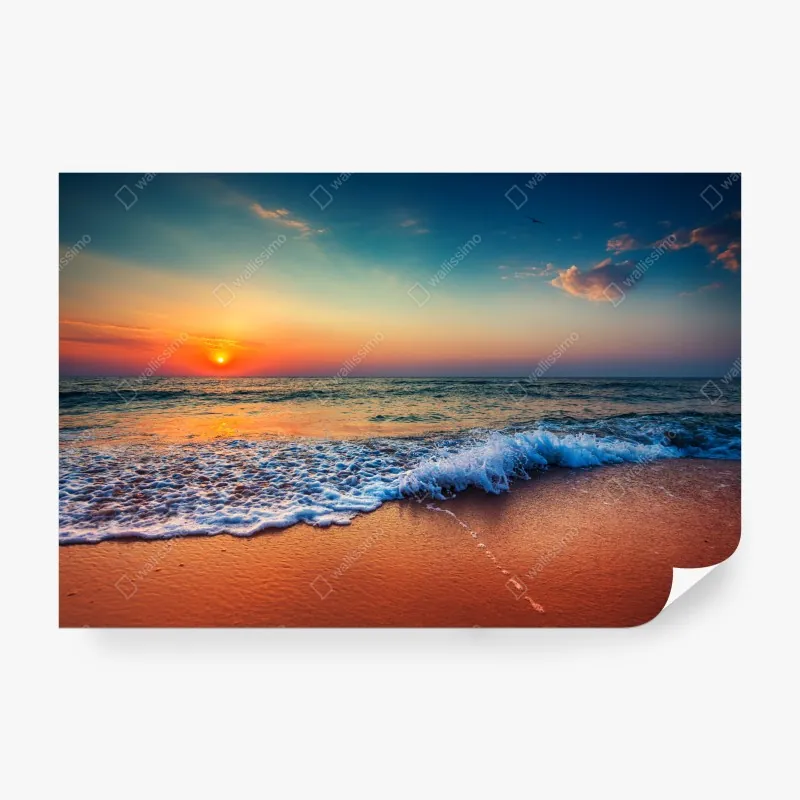 Fototapeta tropikalny wzór z zebrą i monsterą – Wallissimo®