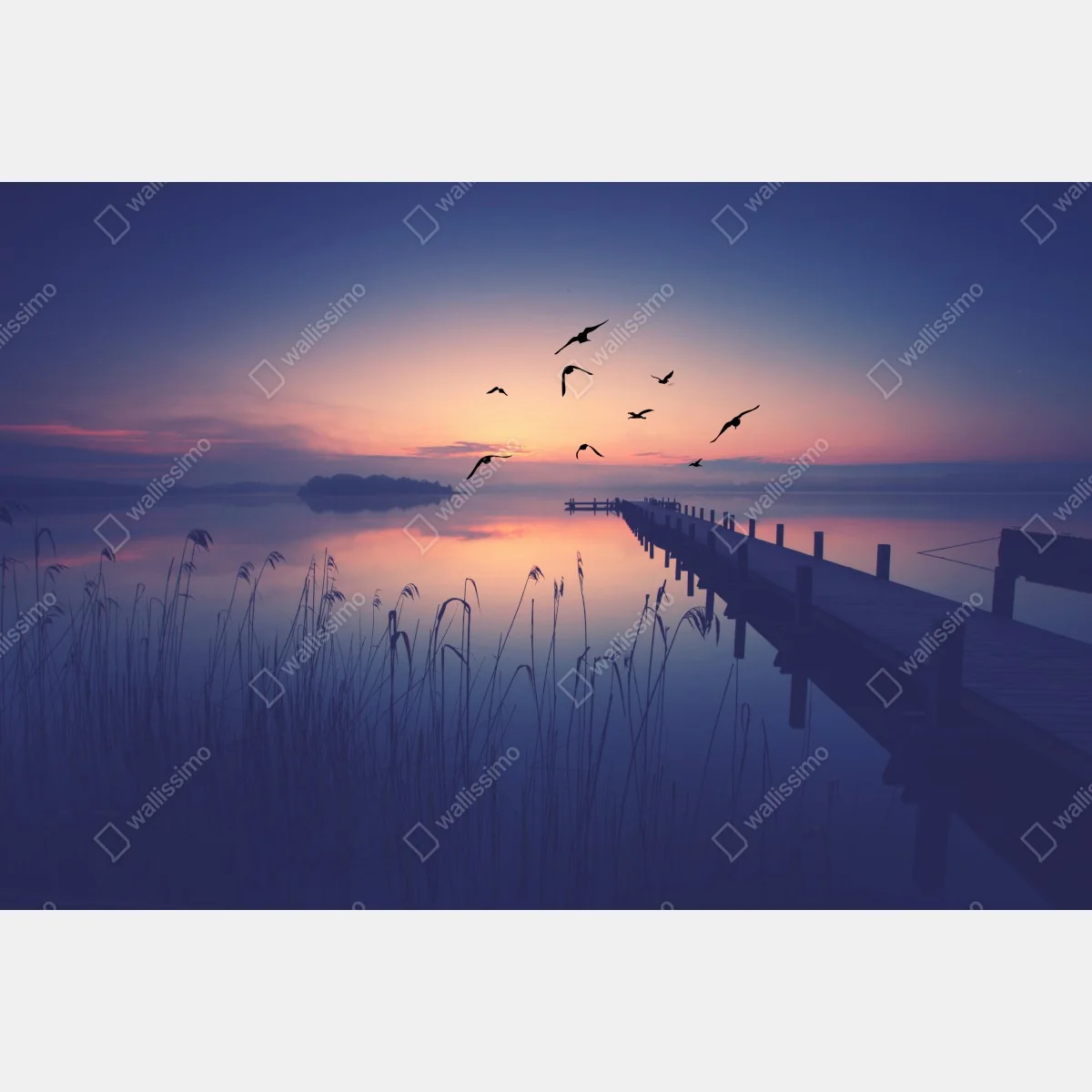 Fototapeta spokojny wschód nad jeziorem z ptakami – Wallissimo® Fototapeta spokojny wschód nad jeziorem z ptakami – Wallissimo®