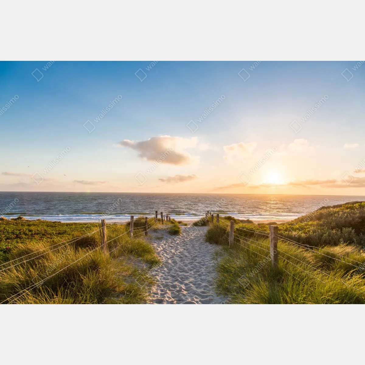 Fototapeta słoneczna ścieżka na plażę nad oceanem – Wallissimo® Fototapeta słoneczna ścieżka na plażę nad oceanem – Wallissimo®