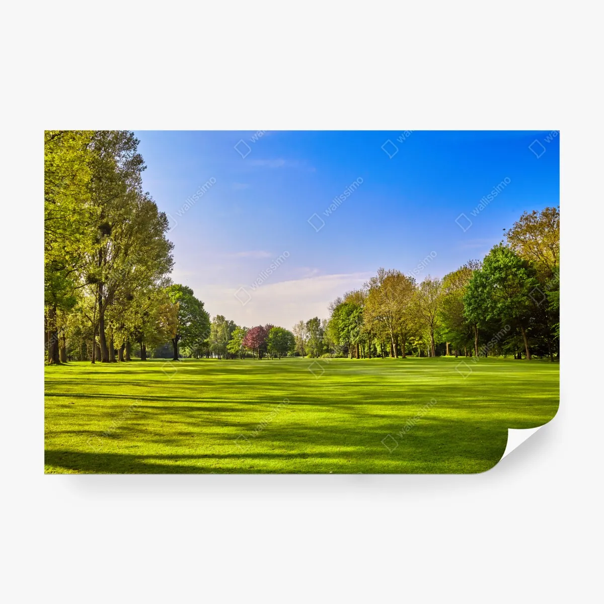 Fototapeta słoneczna panorama parku miejskiego – Wallissimo® Fototapeta słoneczna panorama parku miejskiego – Wallissimo®