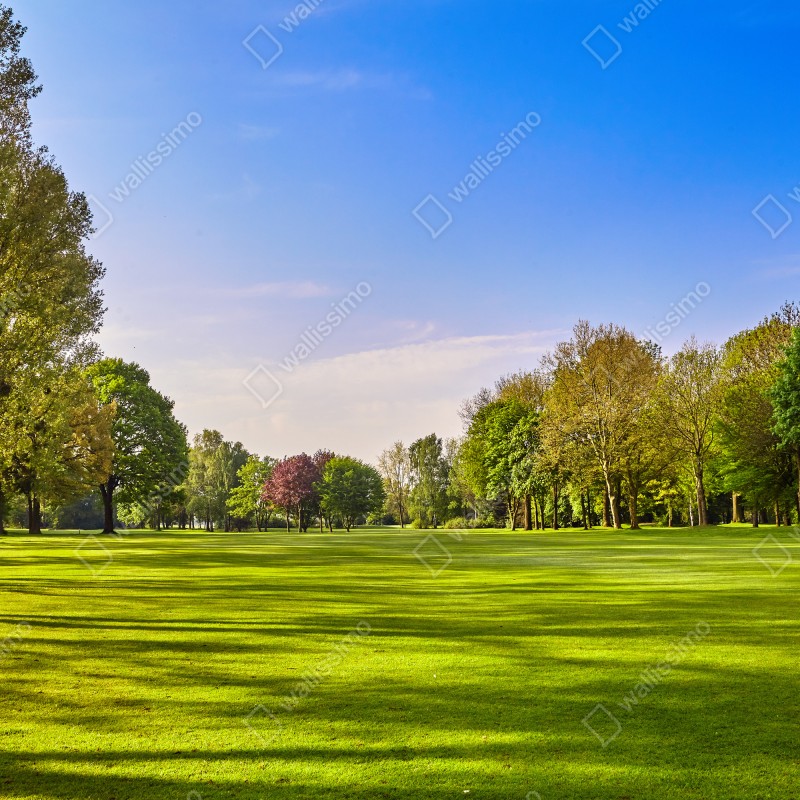 Fototapeta słoneczna panorama parku miejskiego – Wallissimo® Fototapeta słoneczna panorama parku miejskiego – Wallissimo®