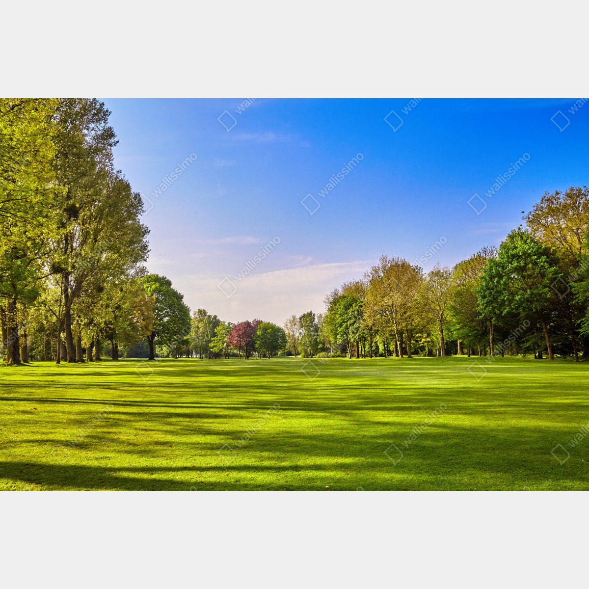 Fototapeta słoneczna panorama parku miejskiego – Wallissimo® Fototapeta słoneczna panorama parku miejskiego – Wallissimo®