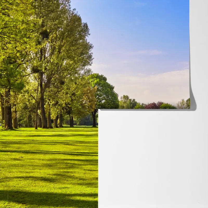 Fototapeta słoneczna panorama parku miejskiego – Wallissimo® Fototapeta słoneczna panorama parku miejskiego – Wallissimo®