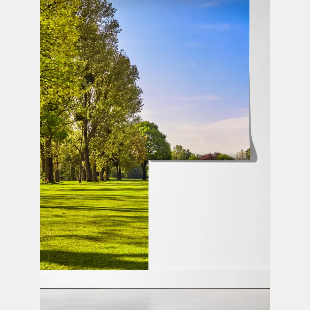 Fototapeta słoneczna panorama parku miejskiego – Wallissimo® Fototapeta słoneczna panorama parku miejskiego – Wallissimo®