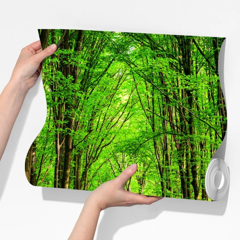 Fototapeta bujna zielona leśna ścieżka – Wallissimo® Fototapeta bujna zielona leśna ścieżka – Wallissimo®