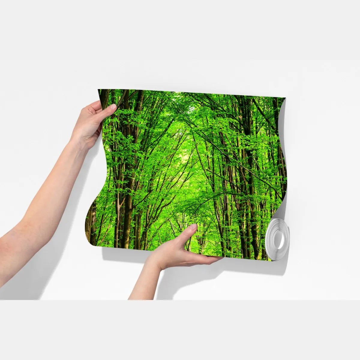 Fototapeta bujna zielona leśna ścieżka – Wallissimo® Fototapeta bujna zielona leśna ścieżka – Wallissimo®