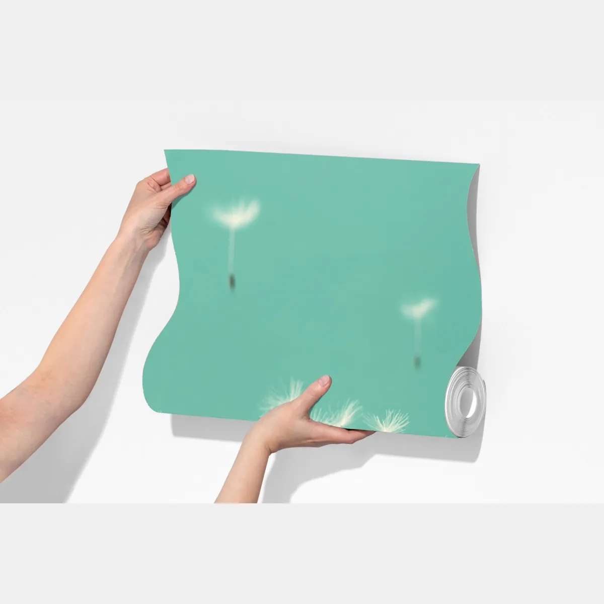 Fototapeta trzy dmuchawce na turkusowym tle – Wallissimo® Fototapeta trzy dmuchawce na turkusowym tle – Wallissimo®