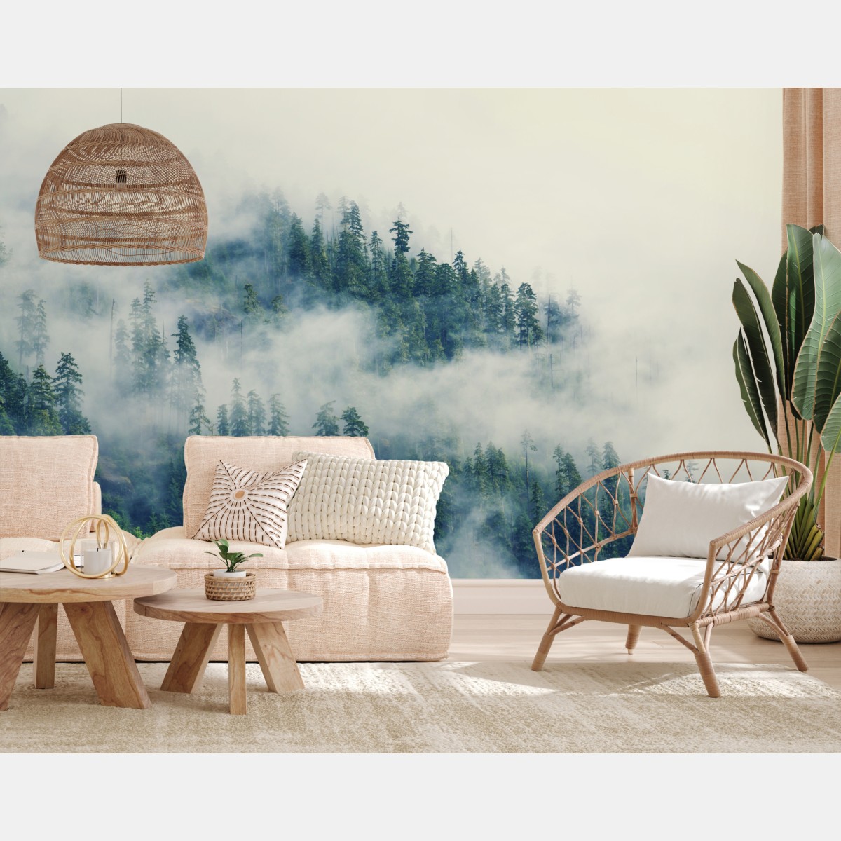 Wall mural misty evergreen forest