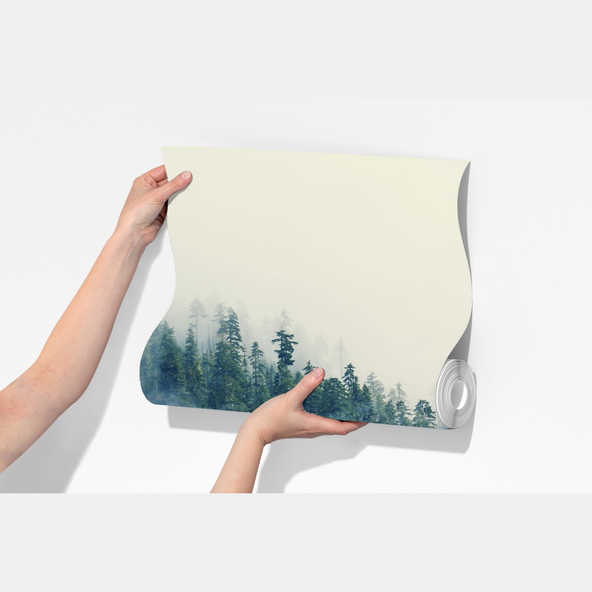 Fototapeta mglisty las – Wallissimo® Fototapeta mglisty las – Wallissimo®