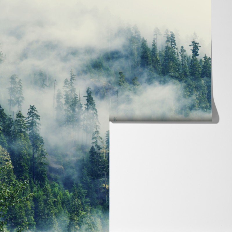 Fototapeta mglisty las – Wallissimo® Fototapeta mglisty las – Wallissimo®