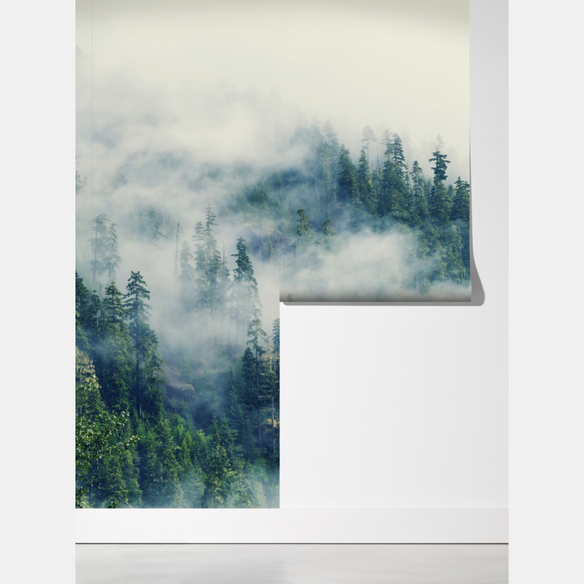 Fototapeta mglisty las – Wallissimo® Fototapeta mglisty las – Wallissimo®