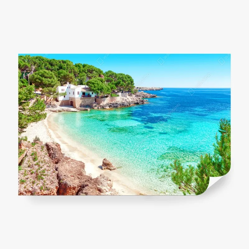 Fototapeta mglisty górski las – Wallissimo®