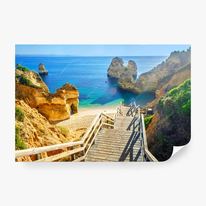 Fototapeta tropikalny raj tukanów – Wallissimo®