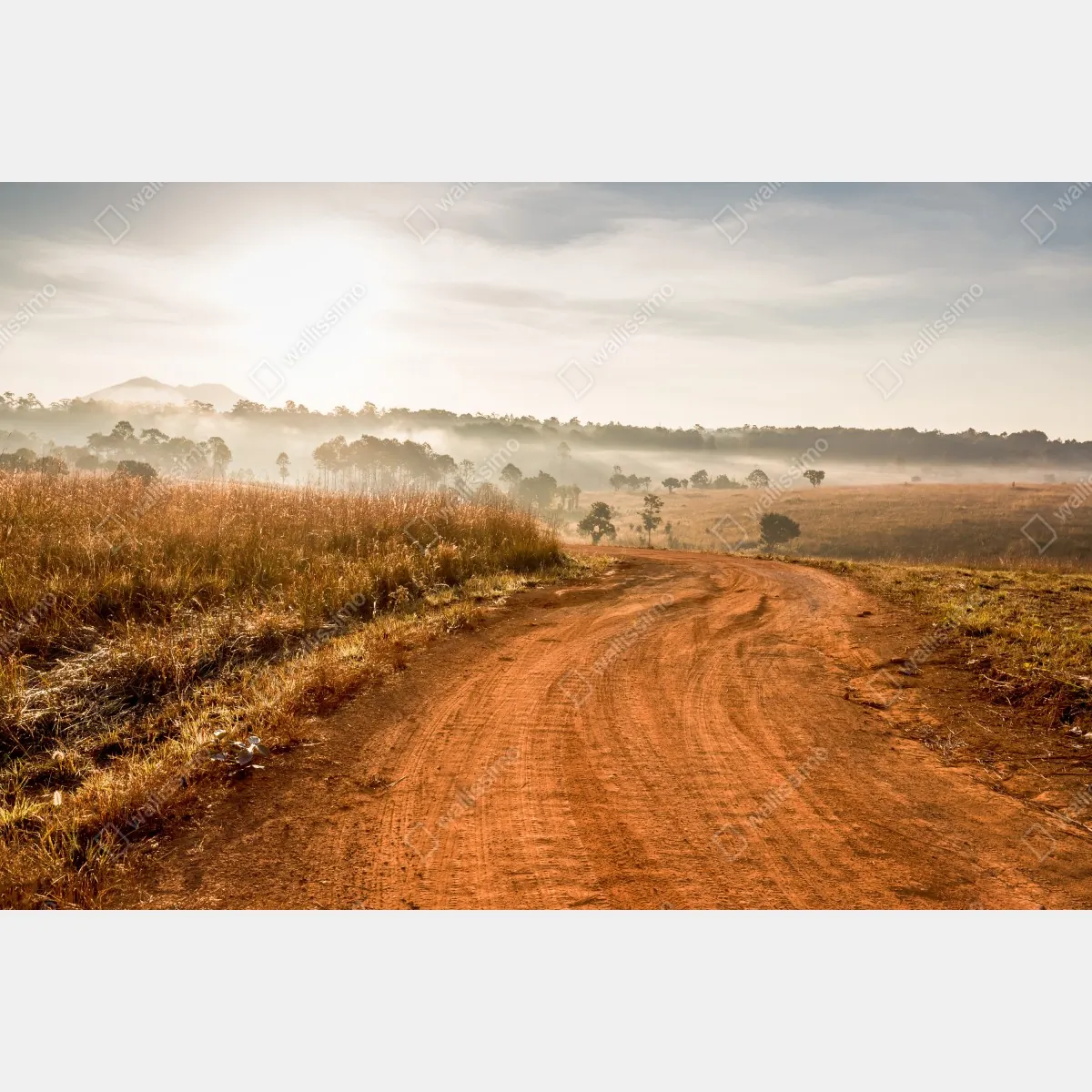 Fototapeta poranna droga gruntowa w Thung Salaeng Luang – Wallissimo® Fototapeta poranna droga gruntowa w Thung Salaeng Luang – Wallissimo®