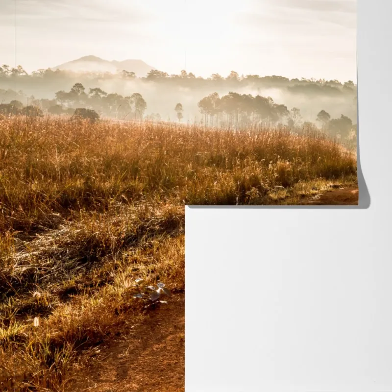 Fototapeta poranna droga gruntowa w Thung Salaeng Luang – Wallissimo® Fototapeta poranna droga gruntowa w Thung Salaeng Luang – Wallissimo®