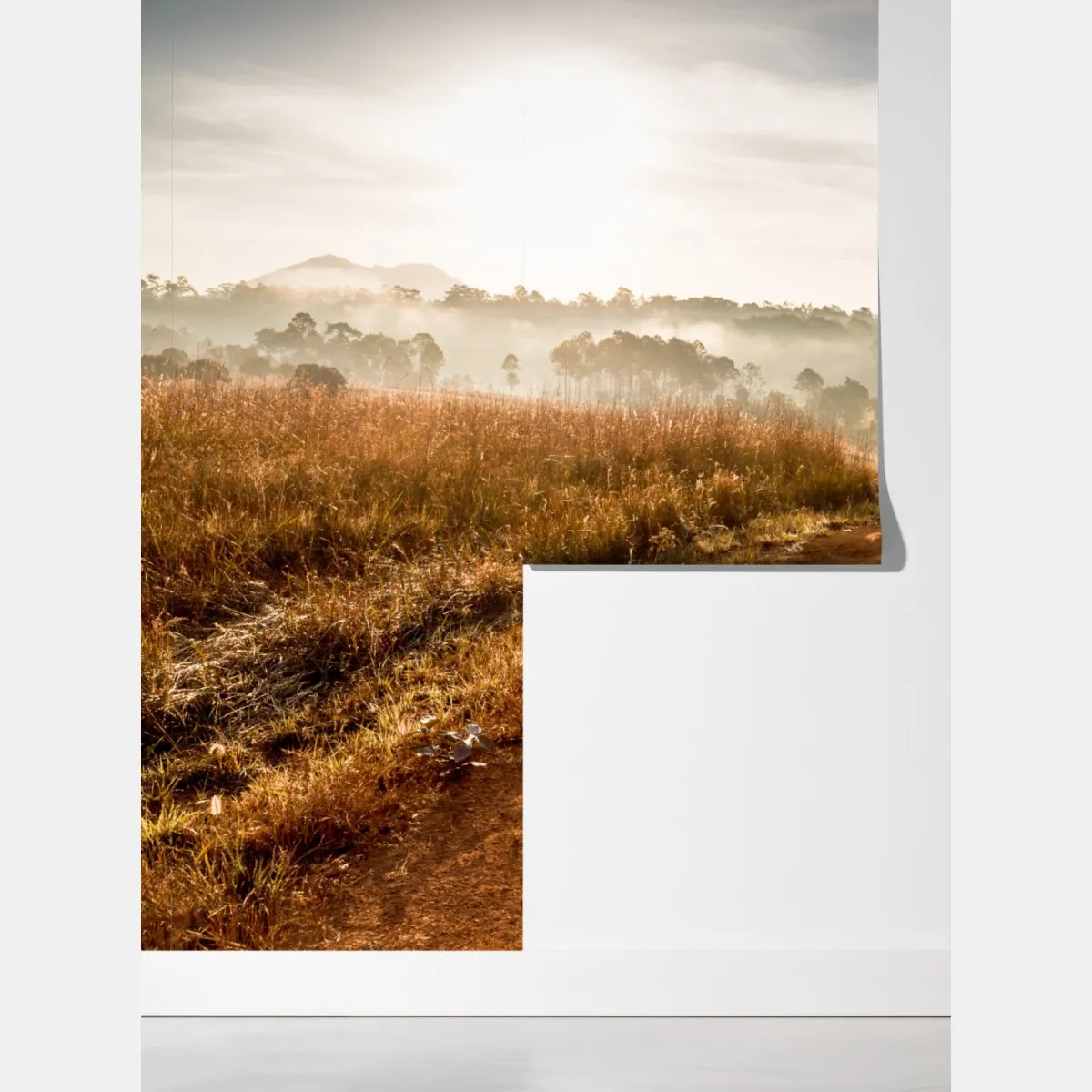 Fototapeta poranna droga gruntowa w Thung Salaeng Luang – Wallissimo® Fototapeta poranna droga gruntowa w Thung Salaeng Luang – Wallissimo®