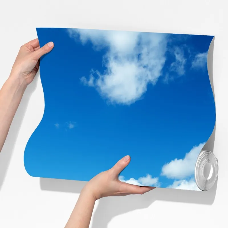 Fototapeta słoneczna łąka z mniszkami i błękitnym niebem – Wallissimo® Fototapeta słoneczna łąka z mniszkami i błękitnym niebem – Wallissimo®