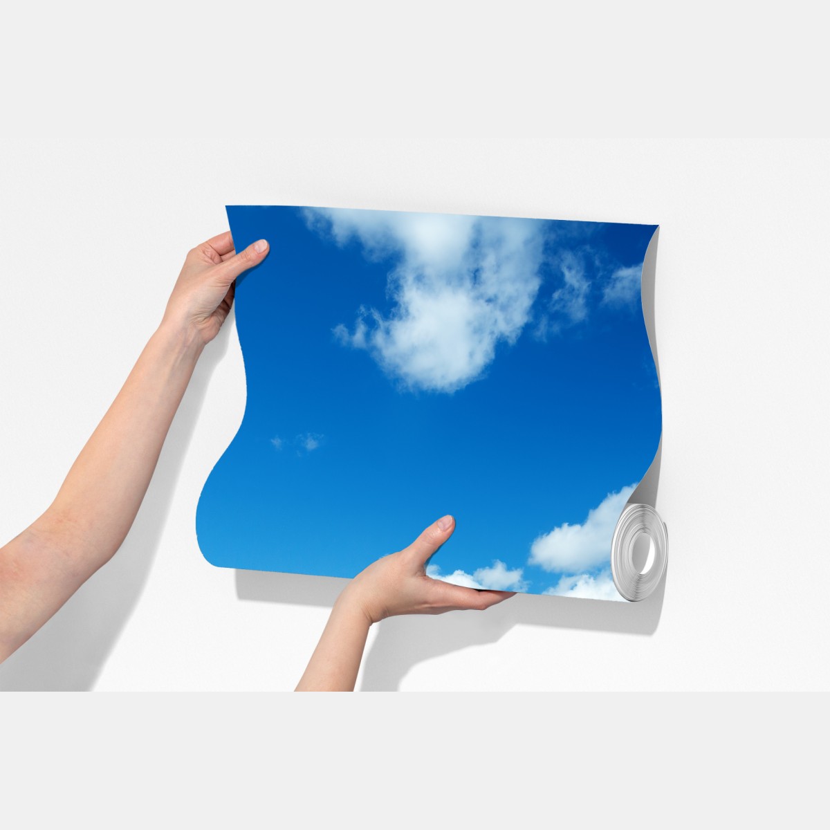 Fototapeta słoneczna łąka z mniszkami i błękitnym niebem – Wallissimo® Fototapeta słoneczna łąka z mniszkami i błękitnym niebem – Wallissimo®