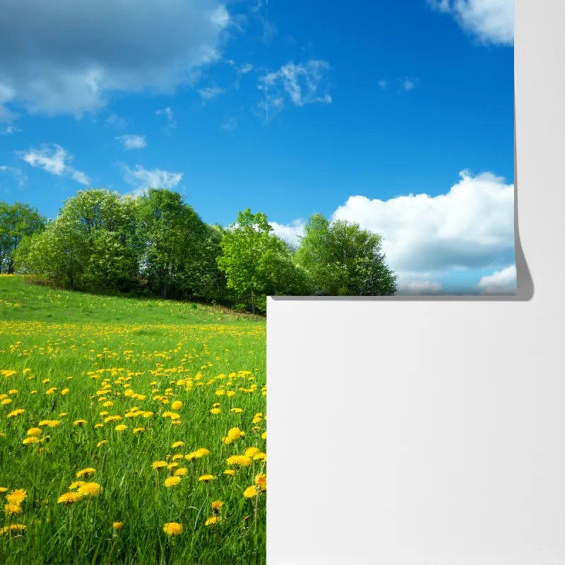 Fototapeta słoneczna łąka z mniszkami i błękitnym niebem – Wallissimo® Fototapeta słoneczna łąka z mniszkami i błękitnym niebem – Wallissimo®