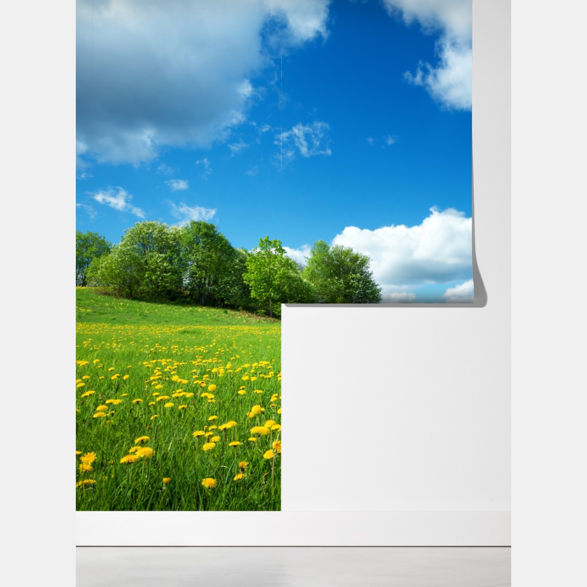 Fototapeta słoneczna łąka z mniszkami i błękitnym niebem – Wallissimo® Fototapeta słoneczna łąka z mniszkami i błękitnym niebem – Wallissimo®