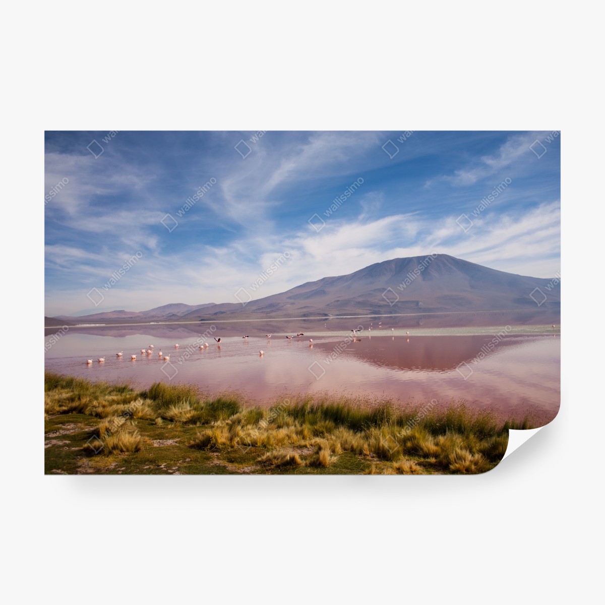 Fototapeta różowa laguna z flamingami i odbiciem gór – Wallissimo® Fototapeta różowa laguna z flamingami i odbiciem gór – Wallissimo®