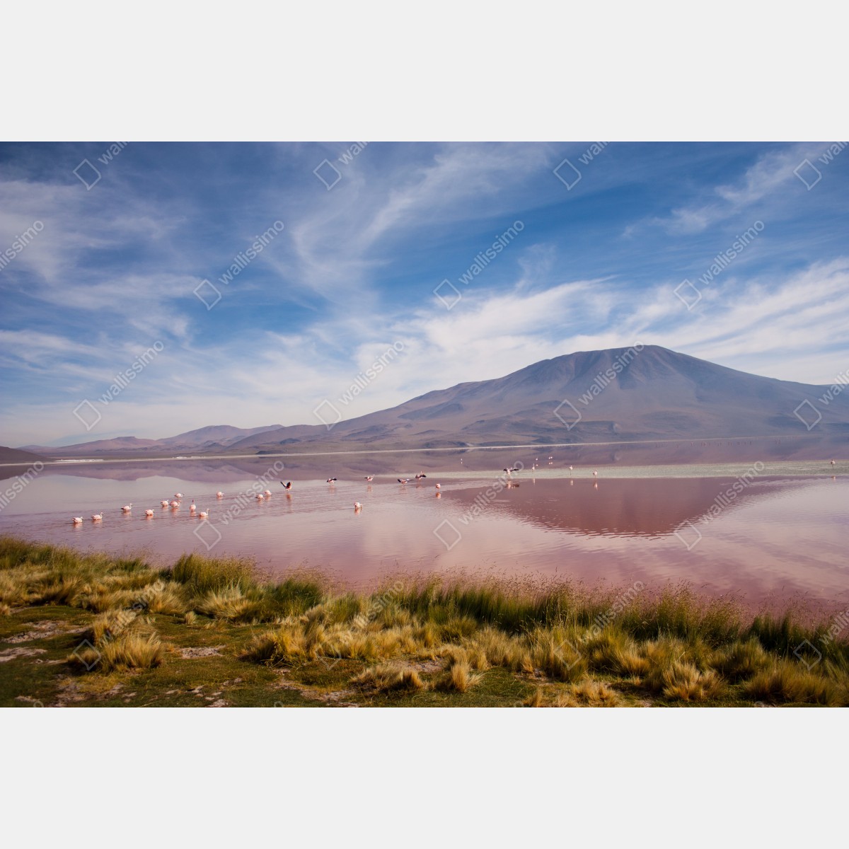 Fototapeta różowa laguna z flamingami i odbiciem gór – Wallissimo® Fototapeta różowa laguna z flamingami i odbiciem gór – Wallissimo®