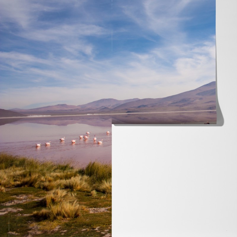 Fototapeta różowa laguna z flamingami i odbiciem gór – Wallissimo® Fototapeta różowa laguna z flamingami i odbiciem gór – Wallissimo®