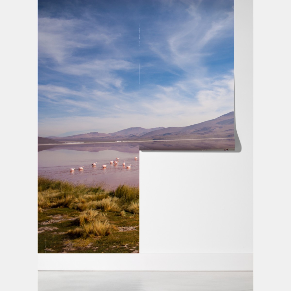 Fototapeta różowa laguna z flamingami i odbiciem gór – Wallissimo® Fototapeta różowa laguna z flamingami i odbiciem gór – Wallissimo®