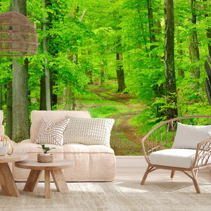 Fototapeta spokojna leśna ścieżka wiosną