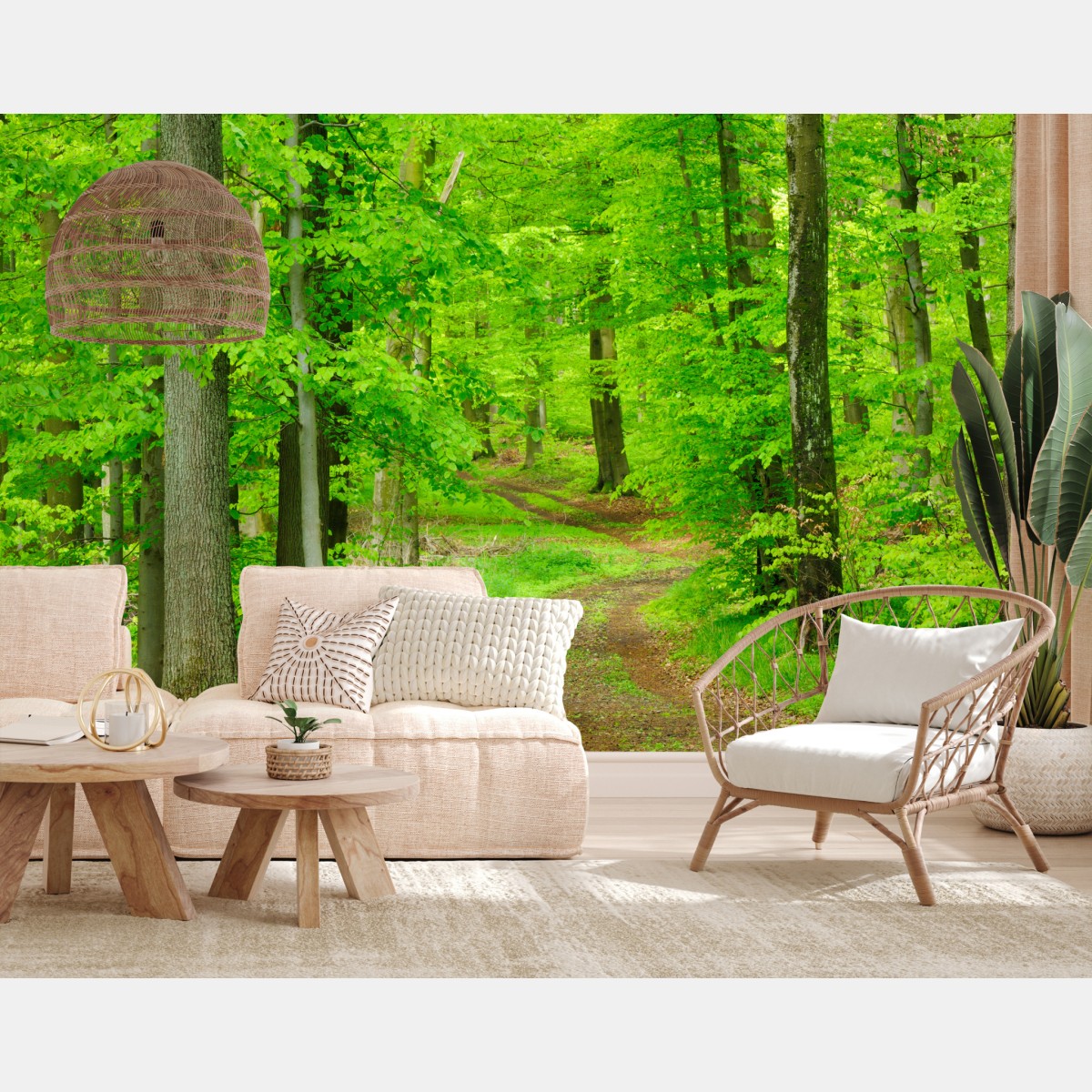 Wall mural serene forest path in spring