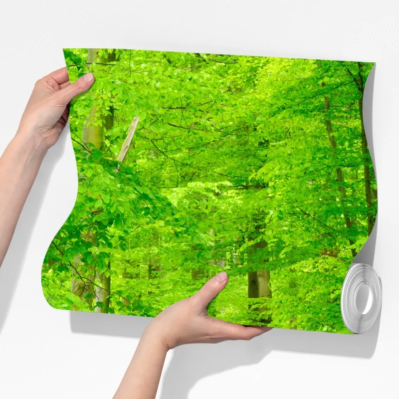 Fototapeta spokojna leśna ścieżka wiosną – Wallissimo® Fototapeta spokojna leśna ścieżka wiosną – Wallissimo®