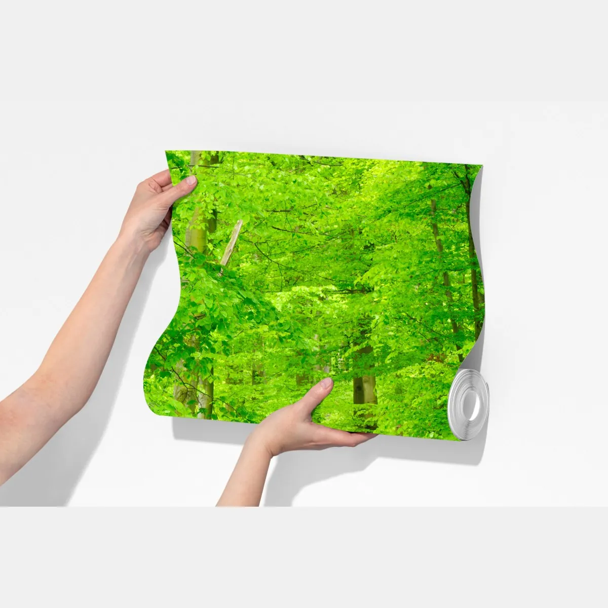 Fototapeta spokojna leśna ścieżka wiosną – Wallissimo® Fototapeta spokojna leśna ścieżka wiosną – Wallissimo®