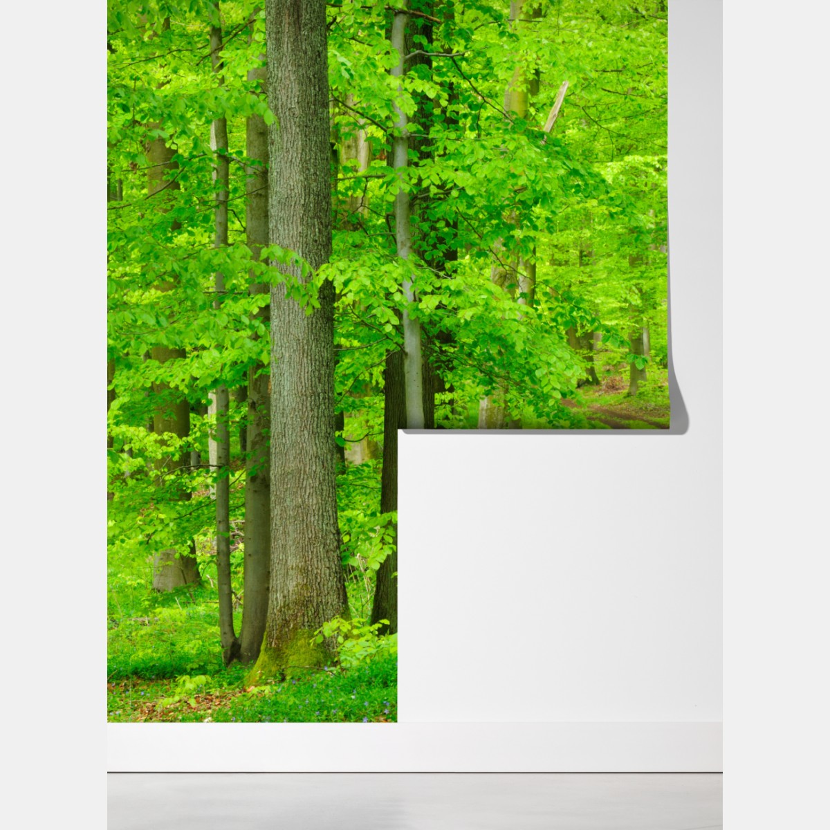 Fototapeta spokojna leśna ścieżka wiosną – Wallissimo® Fototapeta spokojna leśna ścieżka wiosną – Wallissimo®