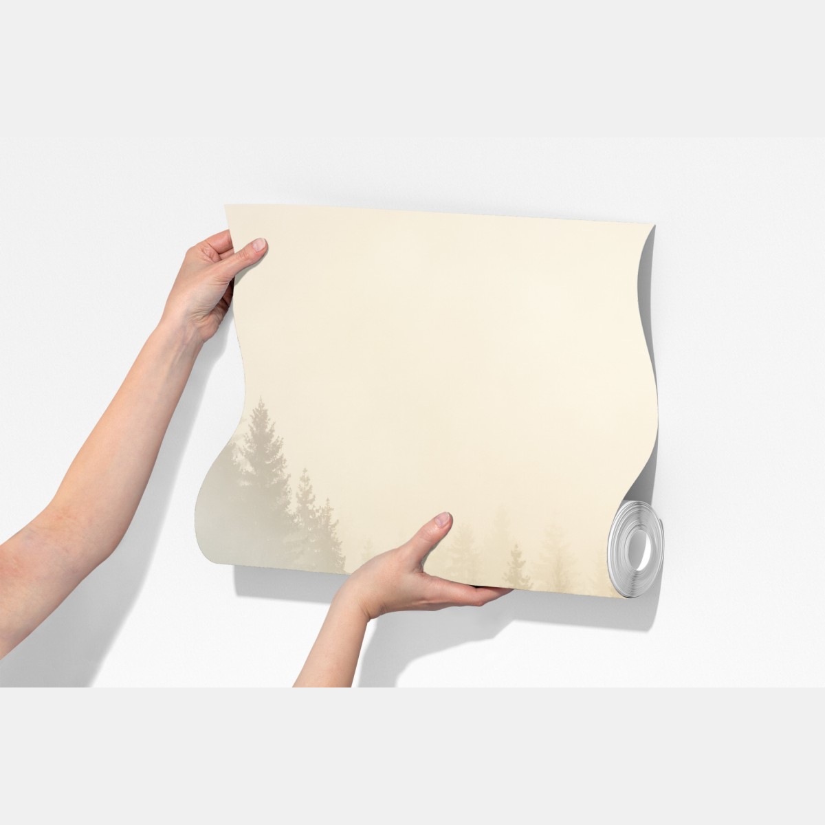 Fototapeta mglisty las świerkowy o wschodzie słońca – Wallissimo® Fototapeta mglisty las świerkowy o wschodzie słońca – Wallissimo®