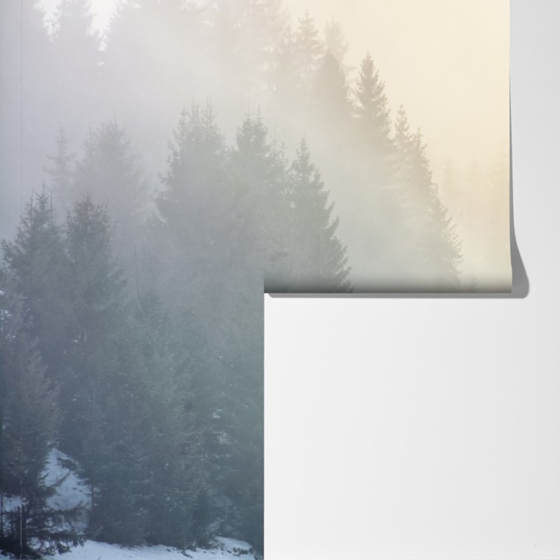 Fototapeta mglisty las świerkowy o wschodzie słońca – Wallissimo® Fototapeta mglisty las świerkowy o wschodzie słońca – Wallissimo®