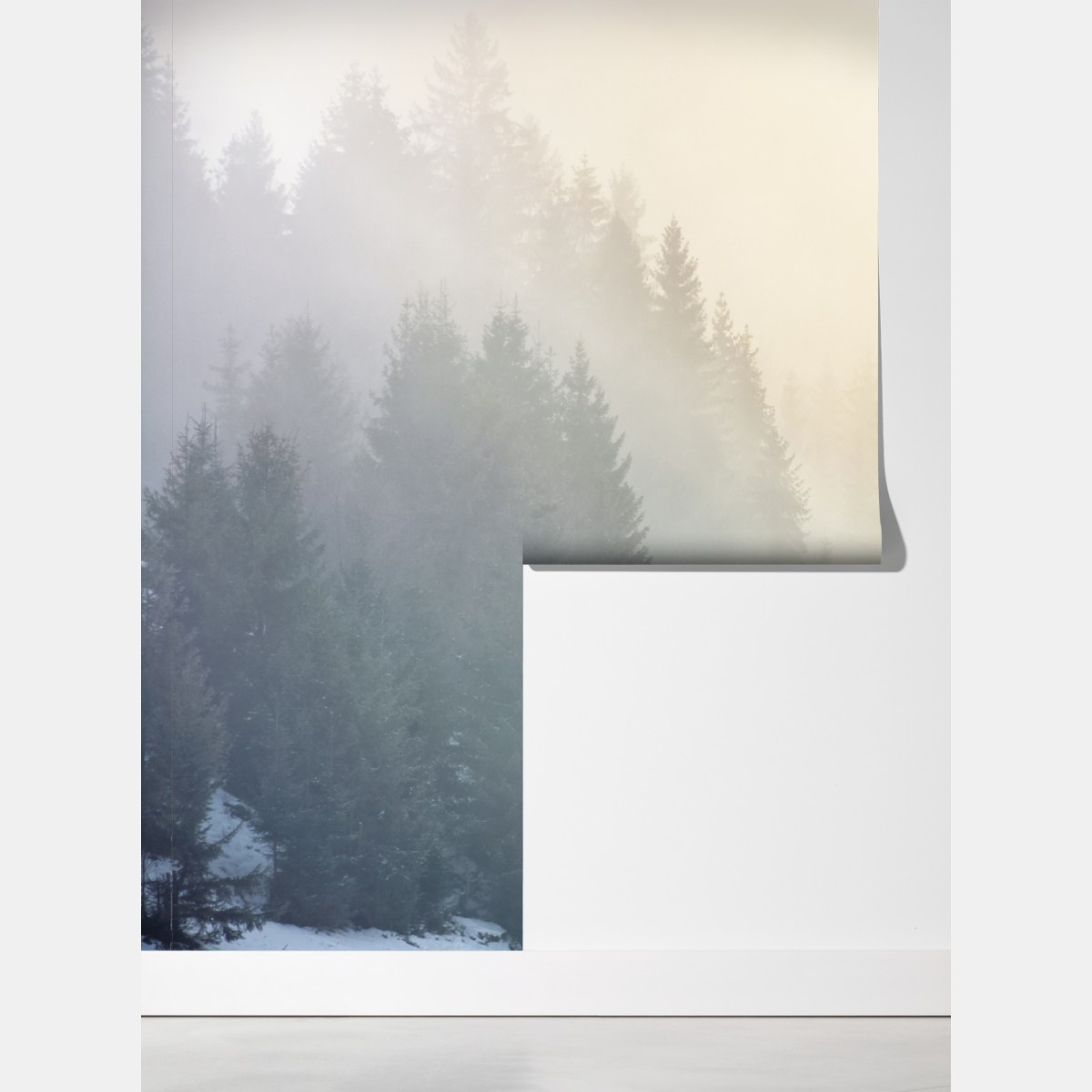 Fototapeta mglisty las świerkowy o wschodzie słońca – Wallissimo® Fototapeta mglisty las świerkowy o wschodzie słońca – Wallissimo®