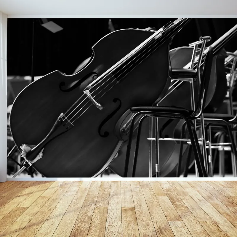 Fototapeta kontrabasy orkiestry w monochromie