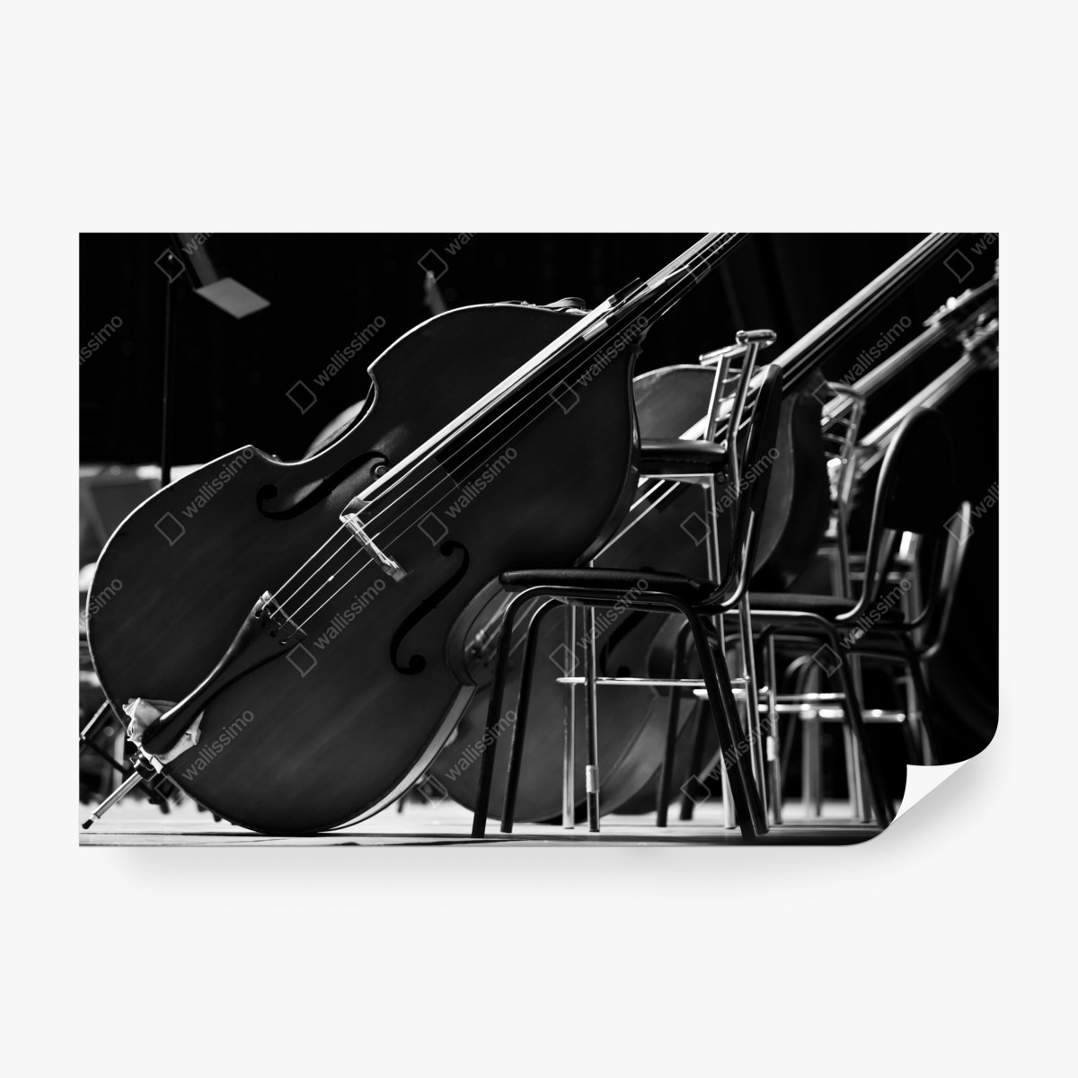 Fototapeta kontrabasy orkiestry w monochromie – Wallissimo® Fototapeta kontrabasy orkiestry w monochromie – Wallissimo®