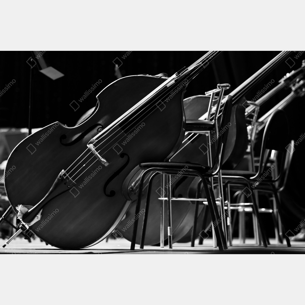 Fototapeta kontrabasy orkiestry w monochromie – Wallissimo® Fototapeta kontrabasy orkiestry w monochromie – Wallissimo®