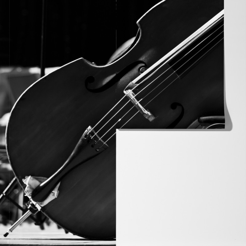 Fototapeta kontrabasy orkiestry w monochromie – Wallissimo® Fototapeta kontrabasy orkiestry w monochromie – Wallissimo®