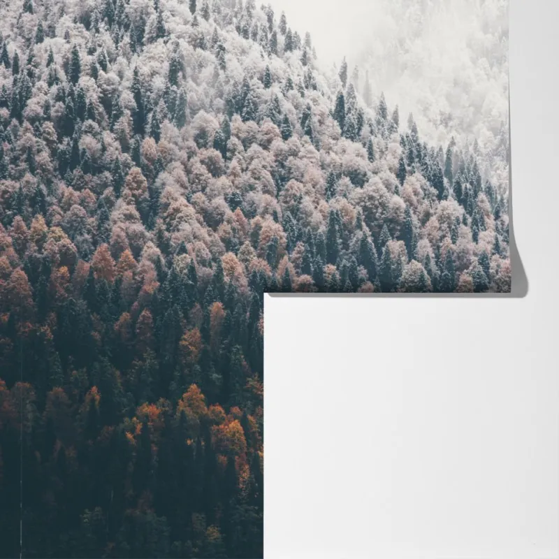 Fototapeta mglisty jesienny las na śnieżnej górze – Wallissimo® Fototapeta mglisty jesienny las na śnieżnej górze – Wallissimo®