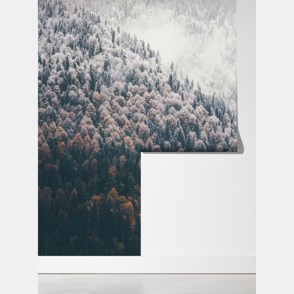 Fototapeta mglisty jesienny las na śnieżnej górze – Wallissimo® Fototapeta mglisty jesienny las na śnieżnej górze – Wallissimo®