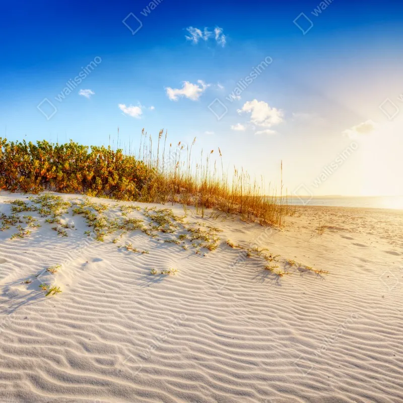 Fototapeta zachód słońca nad wydmami Grace Bay – Wallissimo® Fototapeta zachód słońca nad wydmami Grace Bay – Wallissimo®